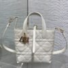 DIOR Toujours vertical series small soft cowhide material high-end version size: 16x12x18cm
