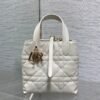 DIOR Toujours vertical series small soft cowhide material high-end version size: 16x12x18cm