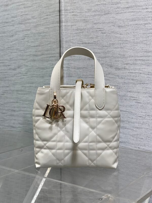 DIOR Toujours vertical series small soft cowhide material high-end version size: 16x12x18cm