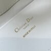 DIOR Toujours vertical series small soft cowhide material high-end version size: 16x12x18cm