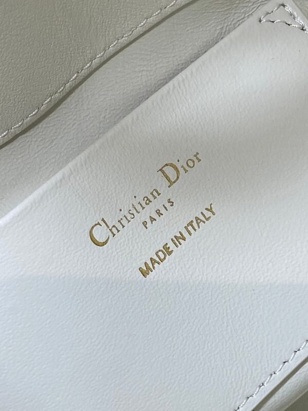 DIOR Toujours vertical series small soft cowhide material high-end version size: 16x12x18cm