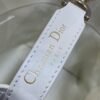 DIOR Toujours vertical series small soft cowhide material high-end version size: 16x12x18cm