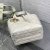 DIOR Toujours vertical series small soft cowhide material high-end version size: 16x12x18cm