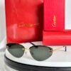 Cartier Sunglasses Premium Edition Size: 65-15-140