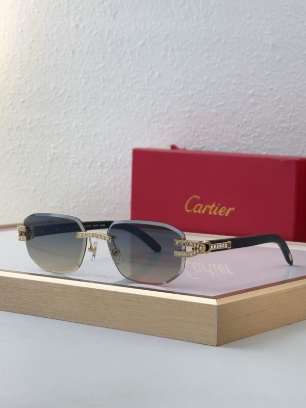 Cartier Sunglasses Premium Edition