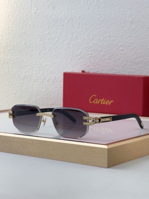 Cartier Sunglasses Premium Edition