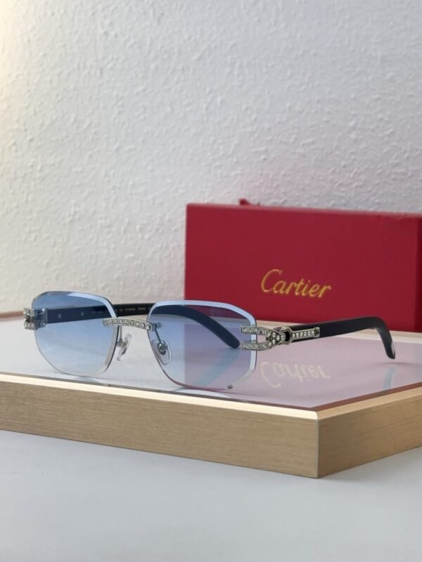Cartier Sunglasses Premium Edition