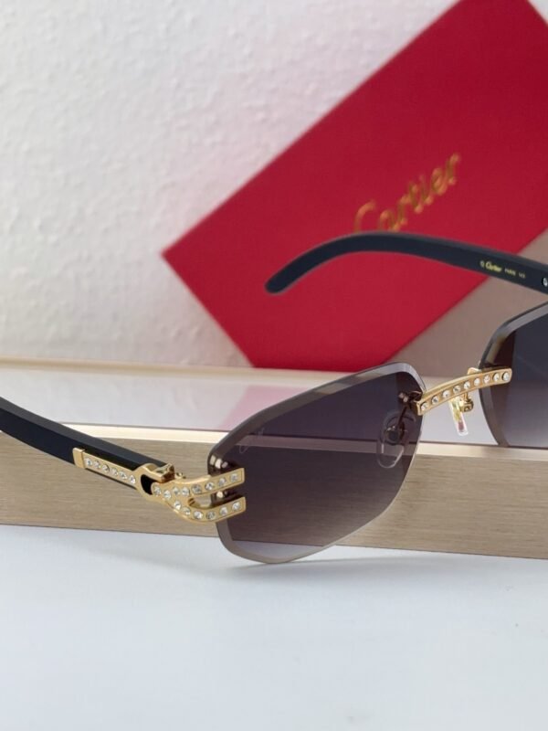 Cartier Sunglasses Premium Edition