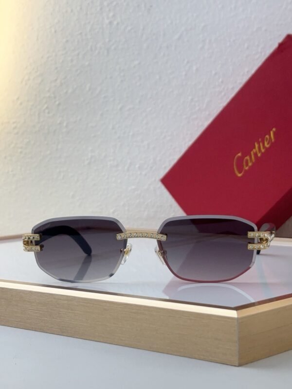 Cartier Sunglasses Premium Edition