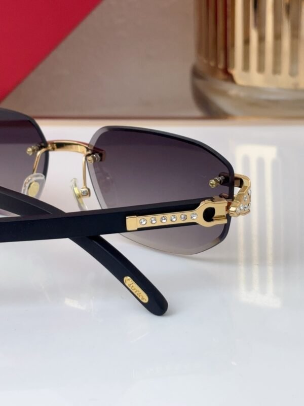 Cartier Sunglasses Premium Edition