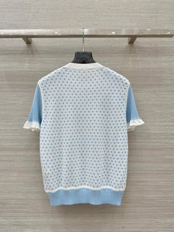 Hermès 2025 Summer New T-shirt Tiger Pattern Premium Edition