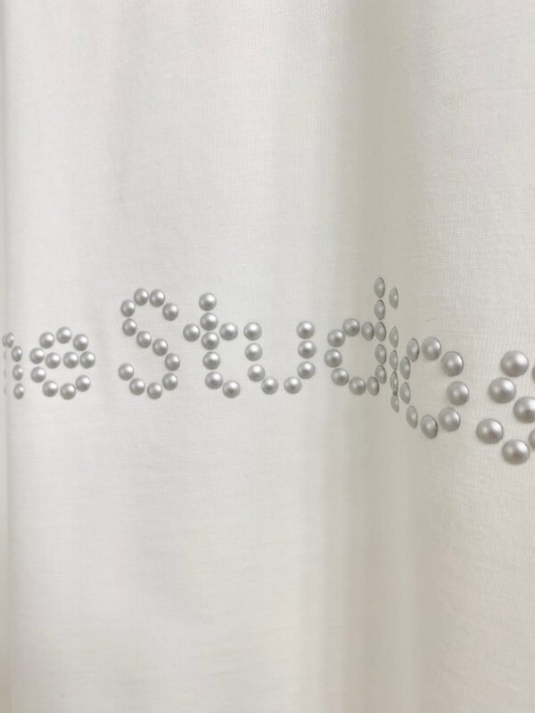 Acne Studios 2025 new short-sleeved T-shirt 260g cotton T-shirt