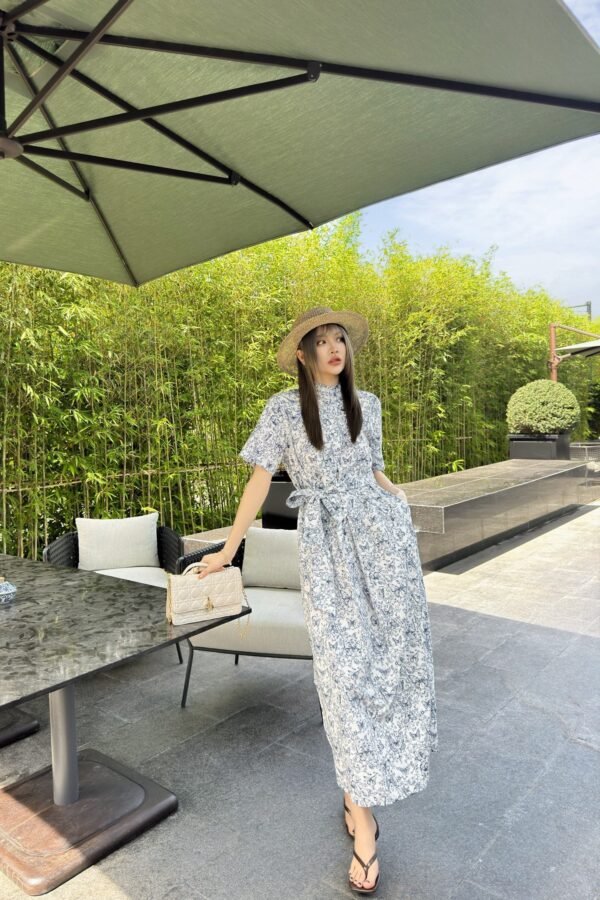 DIOR Butterfly Print Short Sleeve Dress Premium Quality