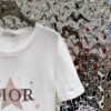 DIOR 2025 new summer T-shirt five-pointed star pattern short sleeves Pure cotton high quality version