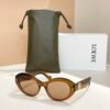 Loewe premium sunglasses SIZE: 52 mouth 18-140