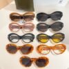 Loewe premium sunglasses SIZE: 52 mouth 18-140