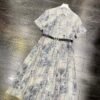 Dior 2025 summer new blue floral pattern dress