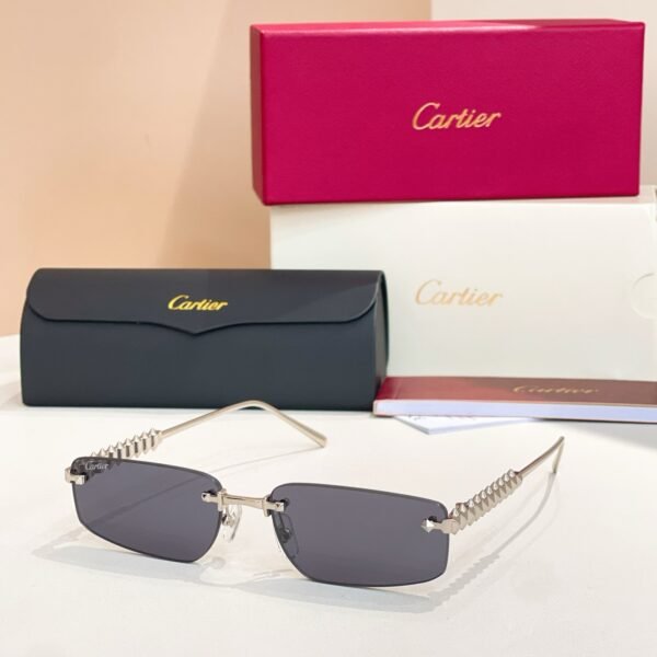 Cartier new sunglasses Premium SIZE: 48 ports 21-14