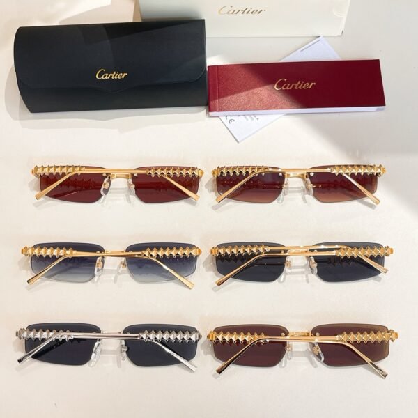 Cartier new sunglasses Premium SIZE: 48 ports 21-14