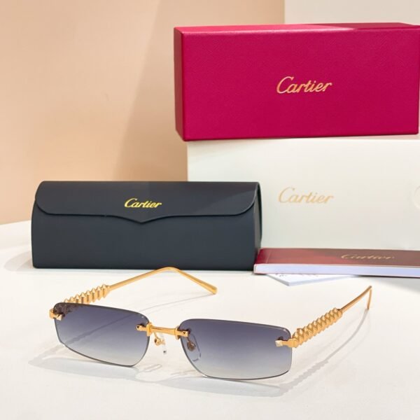 Cartier new sunglasses Premium SIZE: 48 ports 21-14