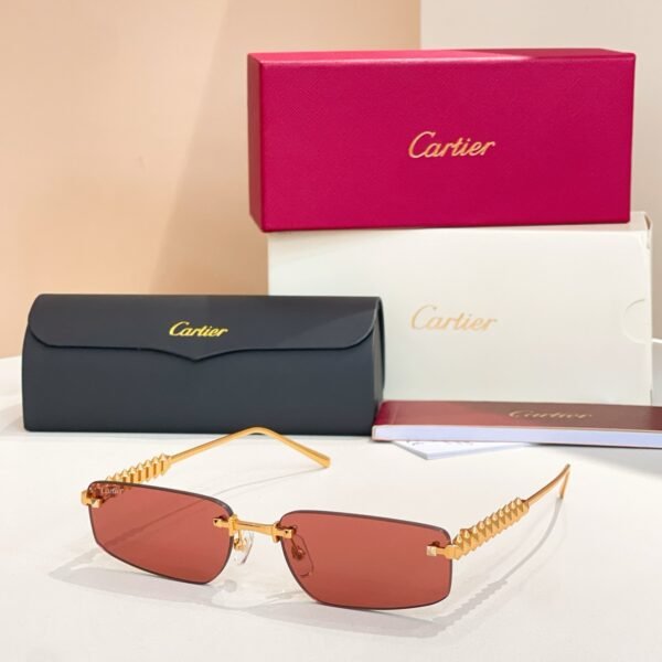 Cartier new sunglasses Premium SIZE: 48 ports 21-14