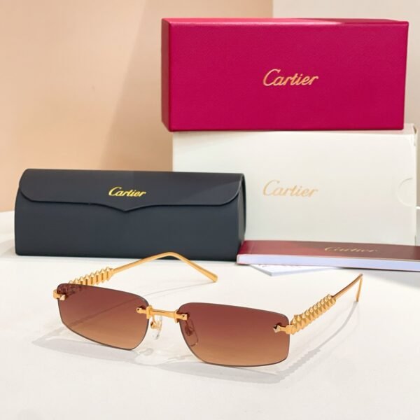 Cartier new sunglasses Premium SIZE: 48 ports 21-14