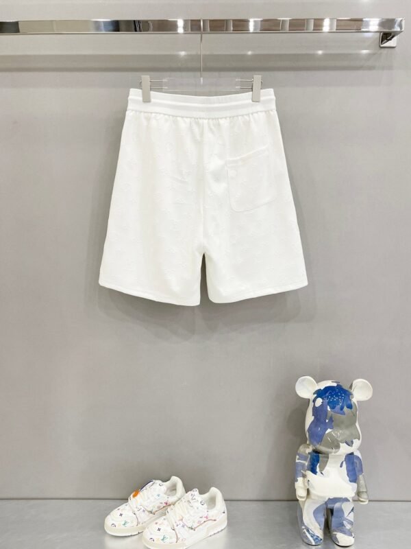 Louis Vuitton new summer men’s beach shorts