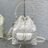 DIOR Caro Bucket Bag Series 1:1 Premium Edition 20x9x24cm