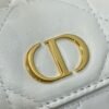 DIOR Caro Bucket Bag Series 1:1 Premium Edition 20x9x24cm