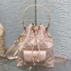 DIOR Caro Bucket Bag Series 1:1 Premium Edition 20x9x24cm