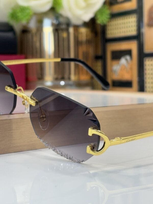 Cartier Sunglasses Premium Edition Size: 58-16-135