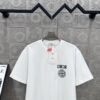 DIOR&Stone Island joint Stone Island logo three-dimensional glue process 330g round neck short-sleeved T-shirt high weight