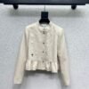 DIOR New Little Bee Blazer Premium Edition