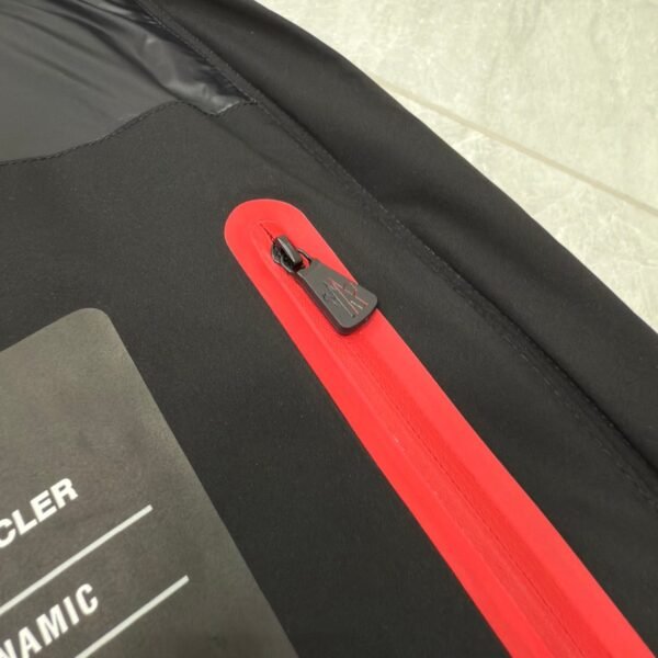 MONCLER new ARCESAZ men’s hooded down jacket Lining 90% white goose down filling