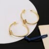 Louis Vuitton stud earrings