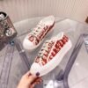 DIOR sneakers