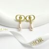 DIOR earrings high-end version
