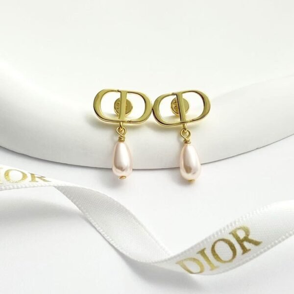 DIOR earrings high-end version