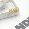 DIOR earrings high-end version