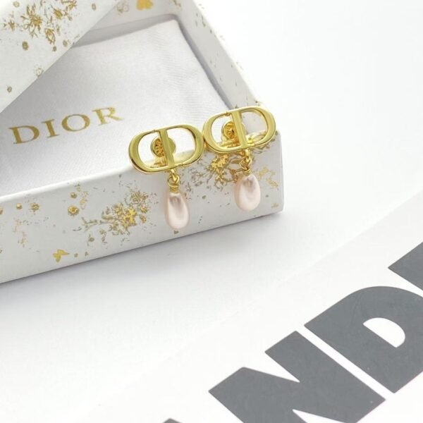 DIOR earrings high-end version