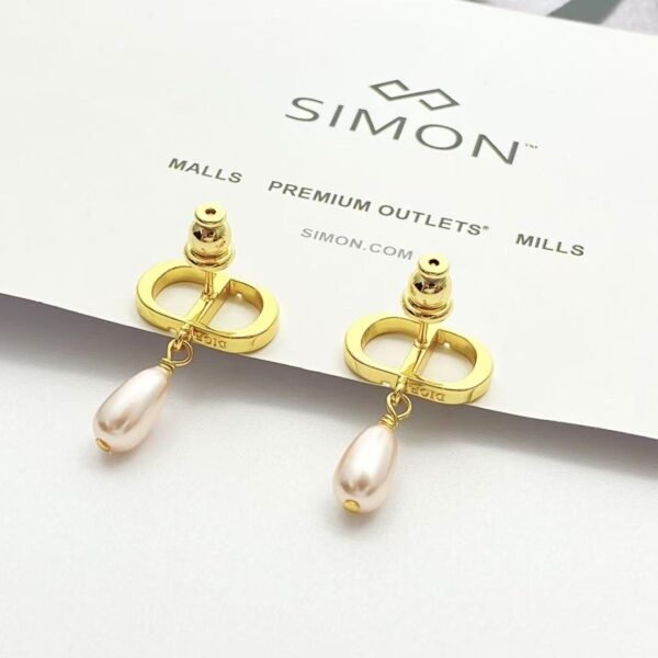 DIOR earrings high-end version