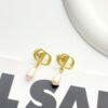 DIOR earrings high-end version
