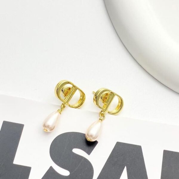 DIOR earrings high-end version