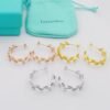 Tiffany earrings premium edition