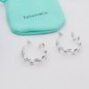 Tiffany earrings premium edition