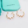Tiffany earrings premium edition