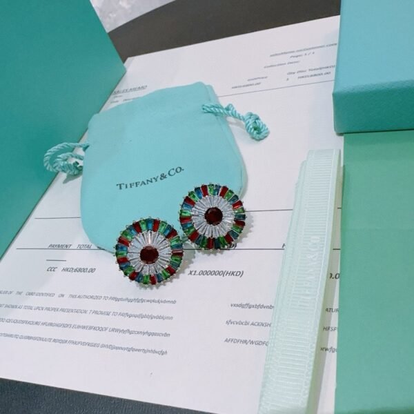 Tiffany earrings premium edition