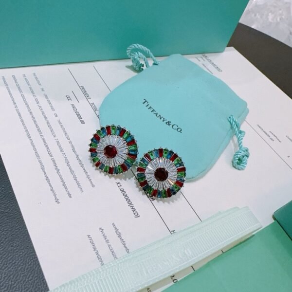 Tiffany earrings premium edition