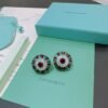 Tiffany earrings premium edition