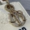 DIOR official website 1:1 embroidered bag premium version